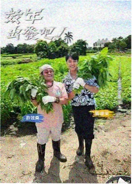 路线推荐新增B线的配图